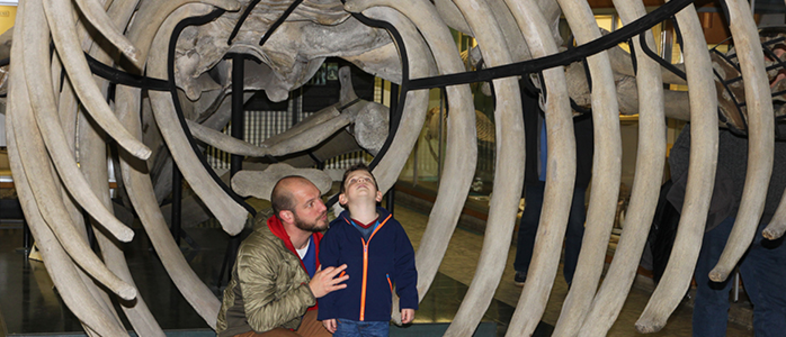 Aquarium-Muséum Luik, kennismaken met dieren uit de hele wereld