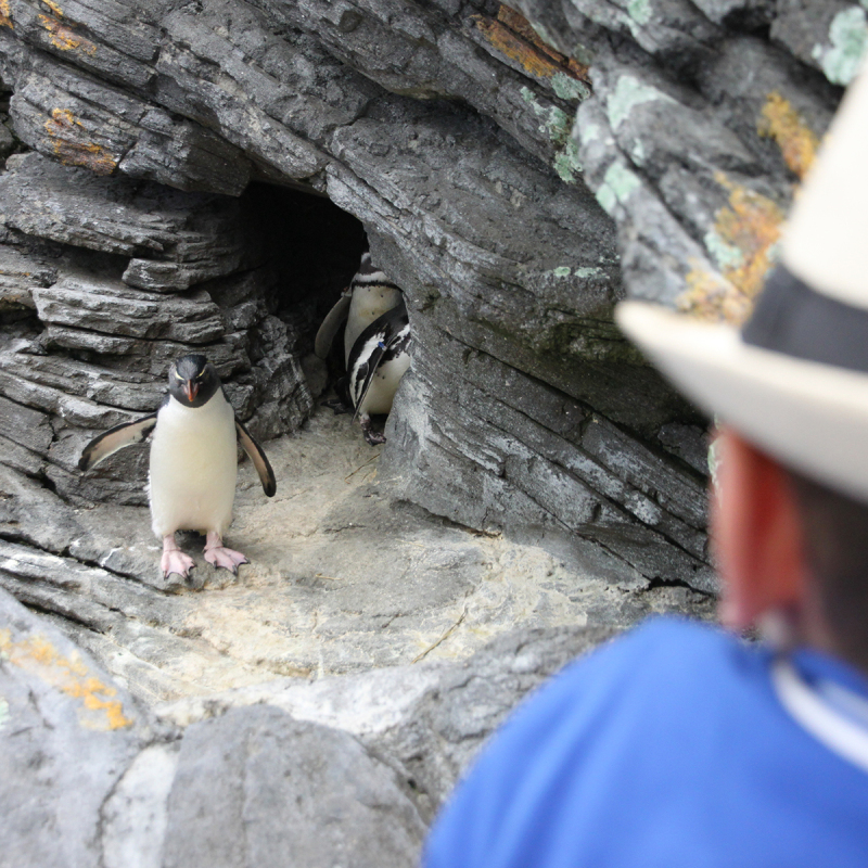 Oceanário de Lisboa met kinderen: foto’s en tips