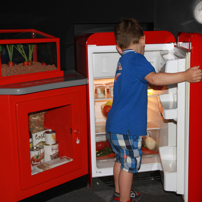Oceanário de Lisboa met kinderen: foto’s en tips