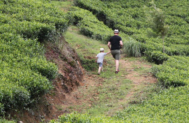 Theeplantage Nuwara Eliya met kinderen