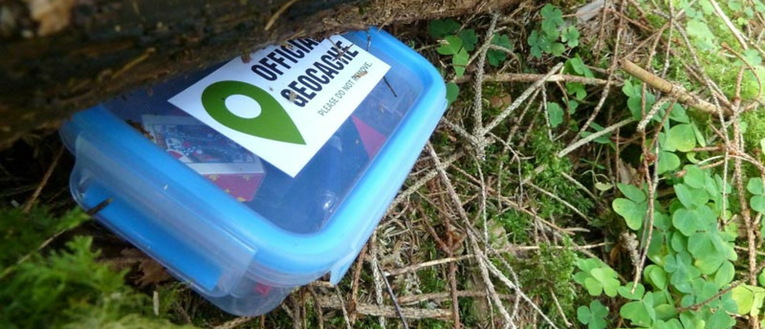 Geocaching met kinderen