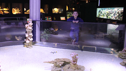 Luik aquarium met kinderen