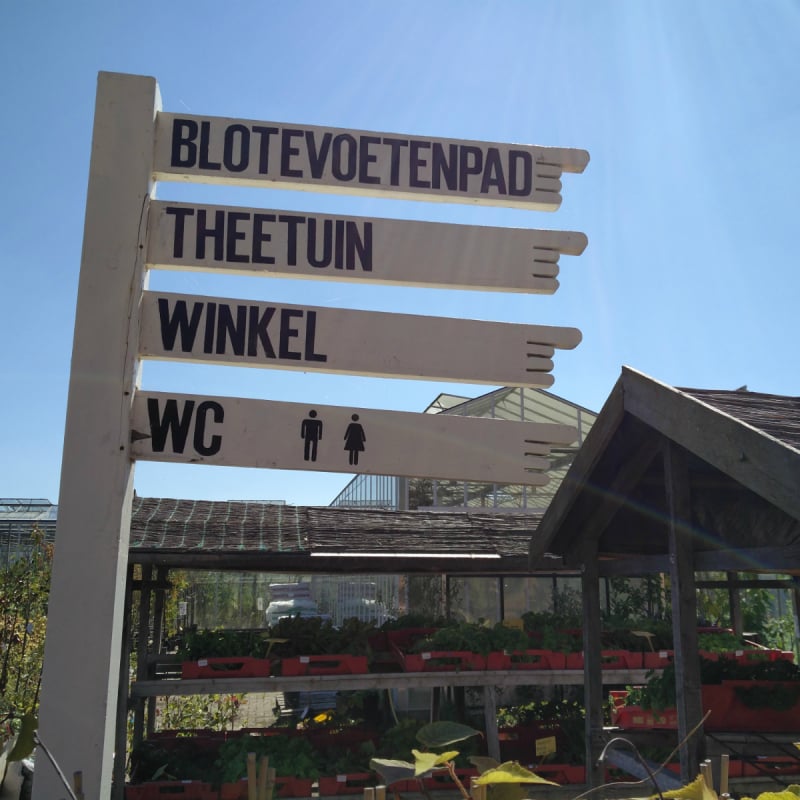 Leuk blotevoetenpad Gelderland Leuk blotevoetenpad Gelderland