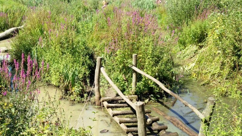 Buitenpost wandelpad Buitenpost wandelpad