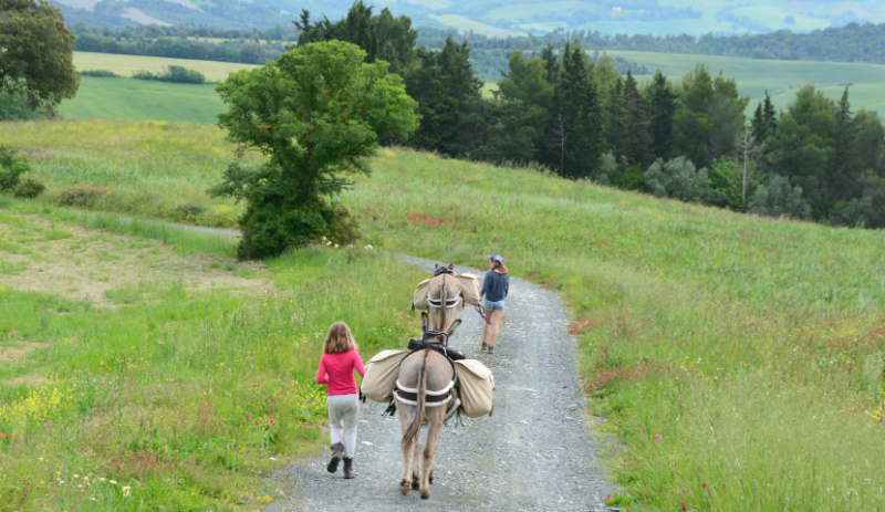 Altratoscana ezeltrekking Ezeltrekking van Altratoscana door de natuur in Toscane