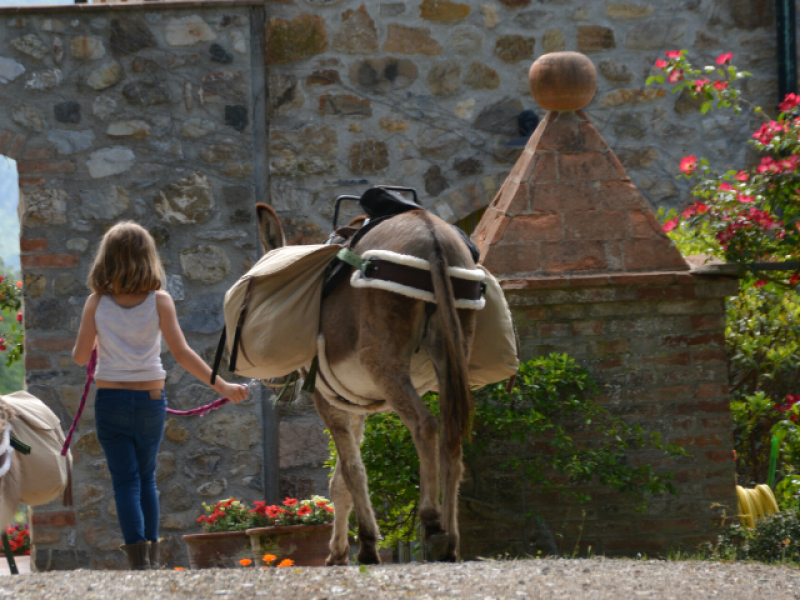 Ezeltrekking in Toscane met kinderen tijdens een gezinsvakantie