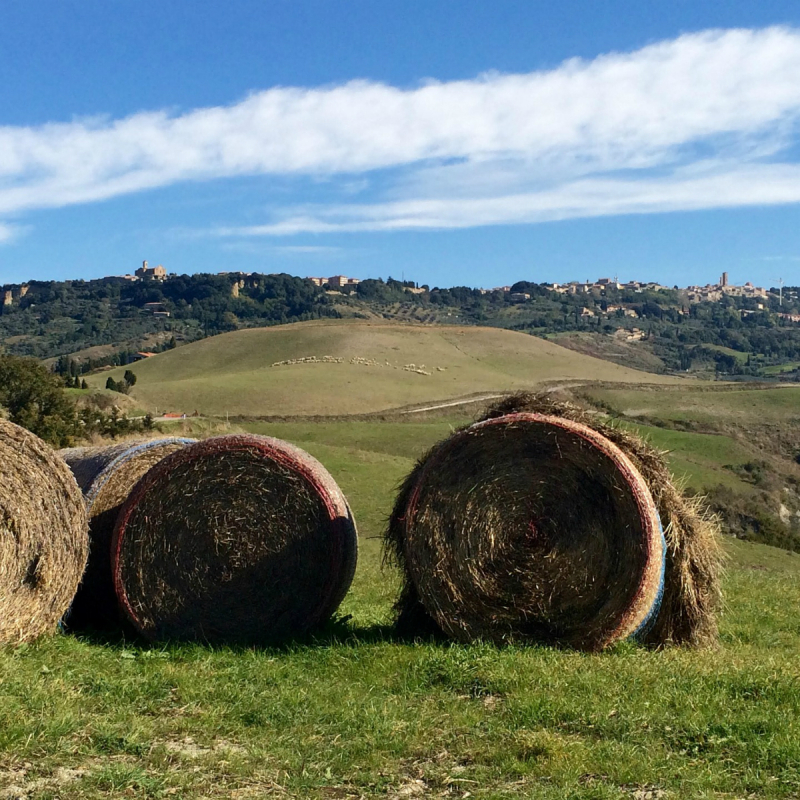 Agriturismo en ezeltrekking Toscane Gezinsvakantie in Toscane met ezeltrekking en overnachten in een agriturismo