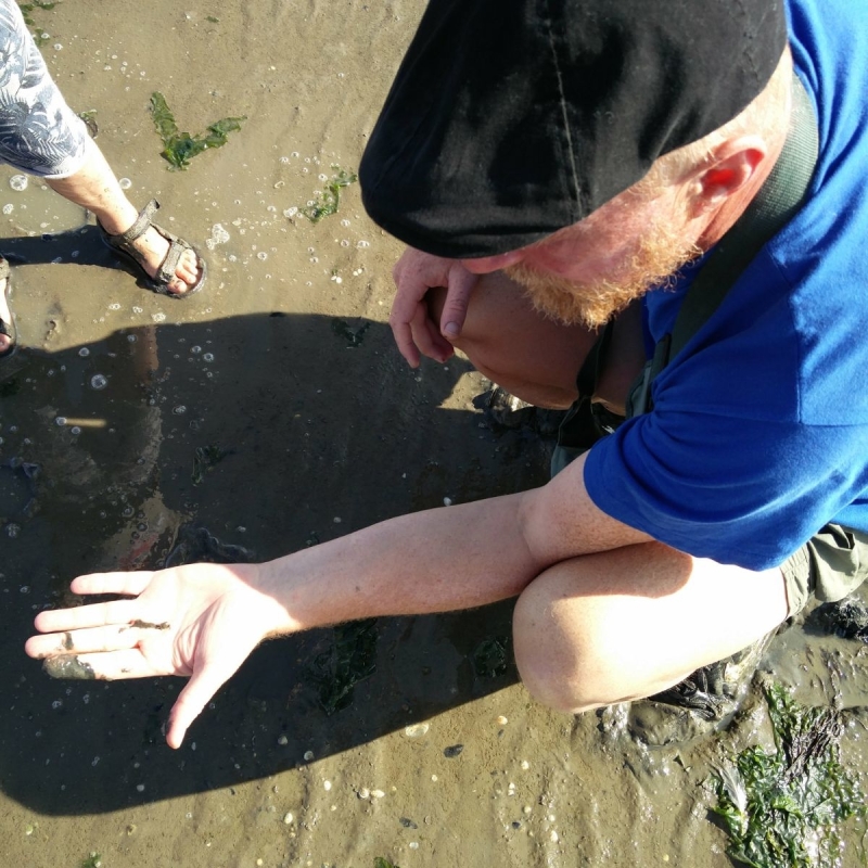 Wadlopen Friesland met gezin Wadlopen Friesland met gezin