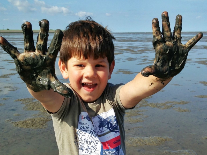 Wadlopen in Friesland met kinderen