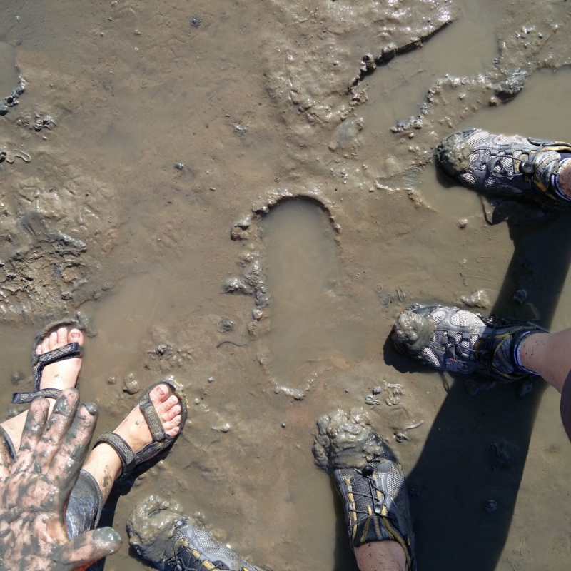 Wadlopen Friesland met kleuter Wadlopen Friesland met kleuter
