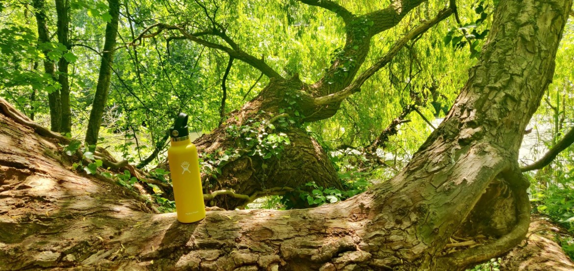 Hydro Flask review Hydro Flask review