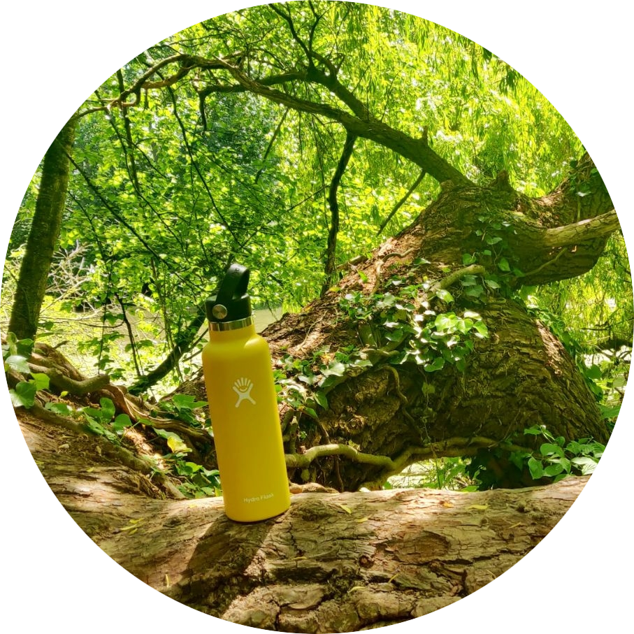 Review Hydroflask