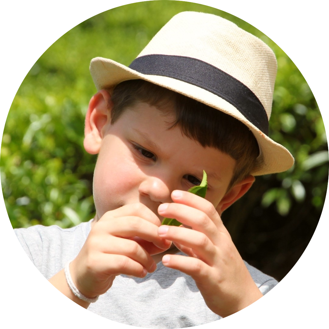 Rondreis Sri Lanka met kinderen