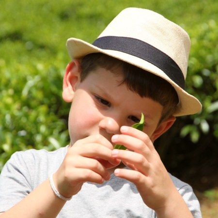 Rondreis Sri Lanka met kinderen