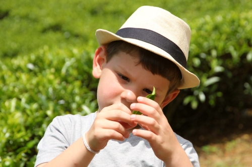 Rondreis Sri Lanka met kinderen