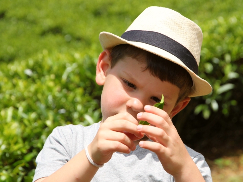 Rondreis Sri Lanka met kinderen Rondreis Sri Lanka met kinderen