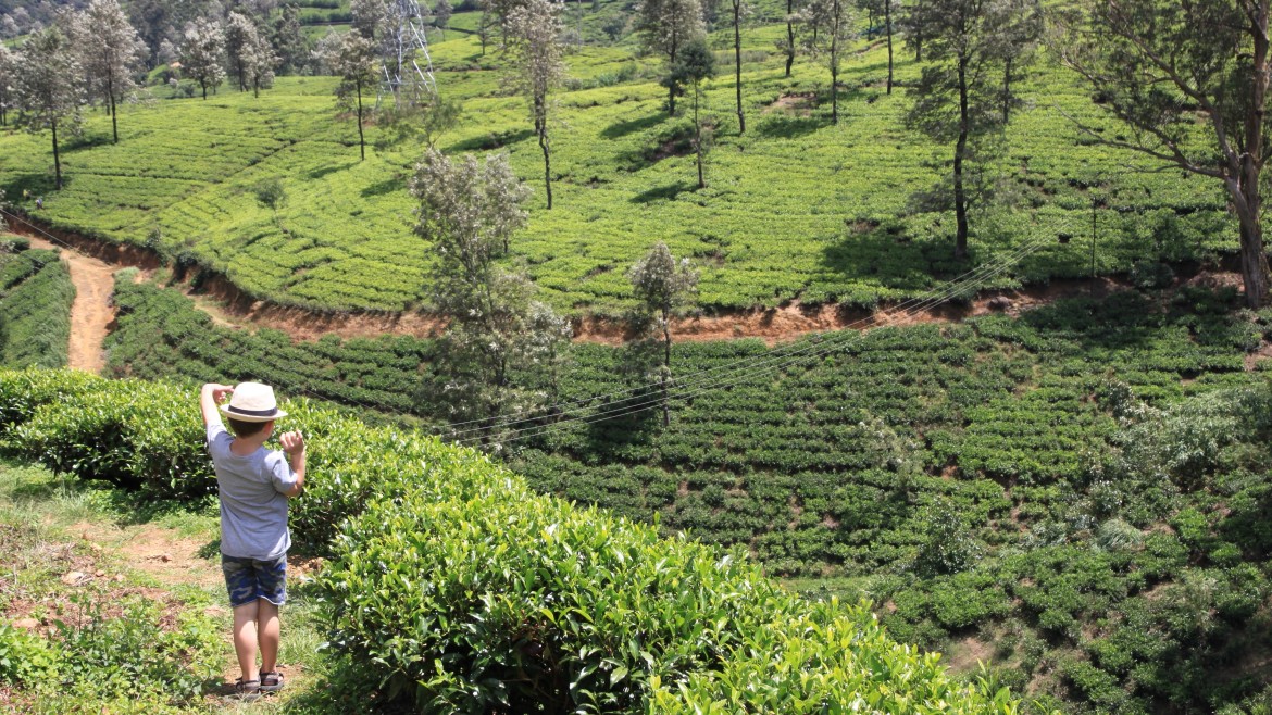 Sri Lanka theeplantage met kind Sri Lanka theeplantage met kind