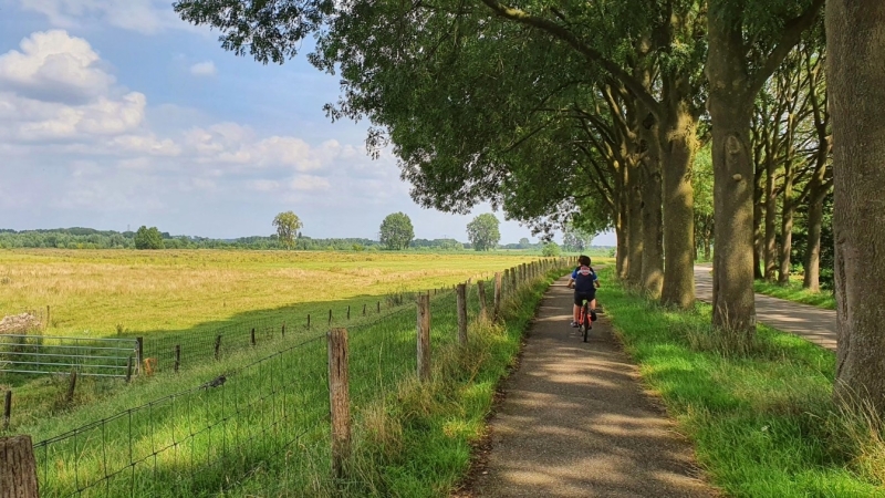 Fietsen in de Maashorst met kinderen