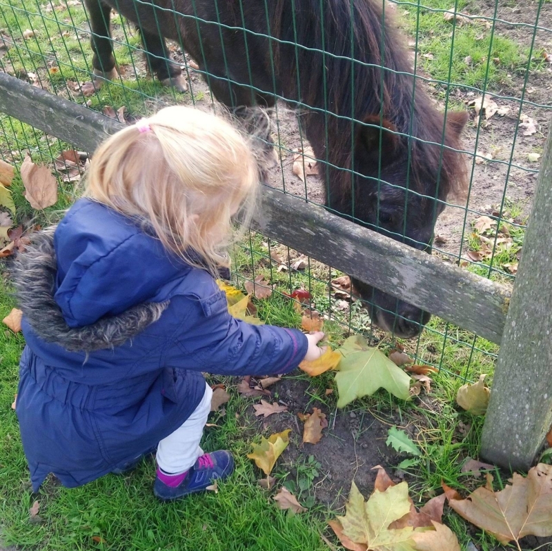 Kinderboerderij Het Kukelnest Goor