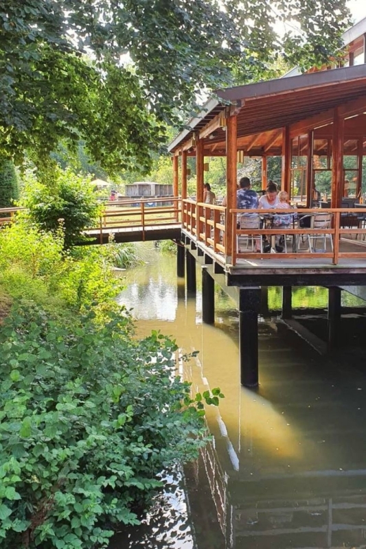 Tips omgeving Utrecht met kinderen: wandelen en spelen bij Rhijnauwen en Amelisweerd