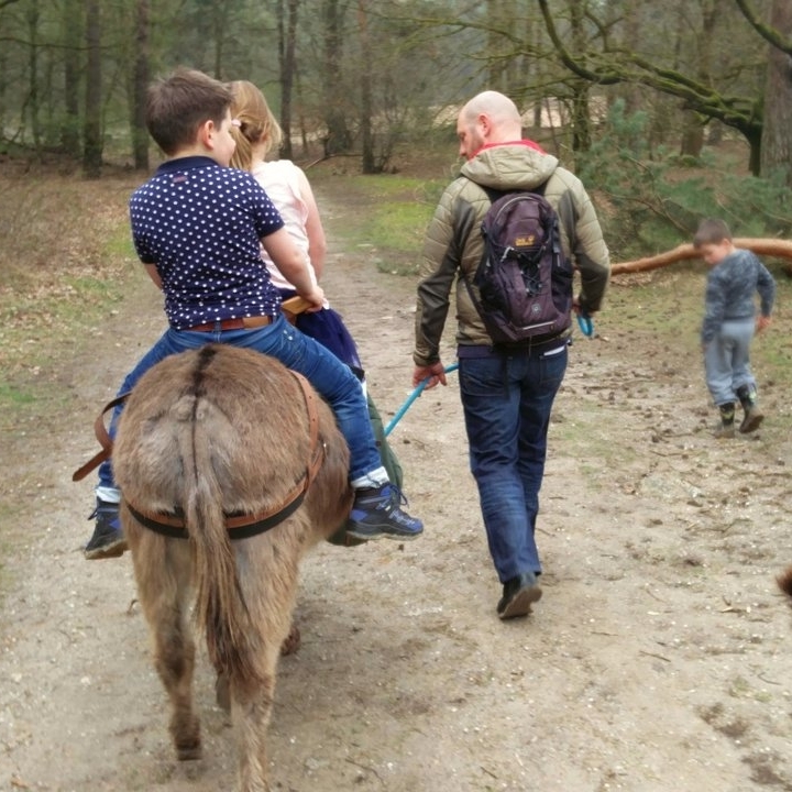 Wandelen met een ezel Herperduin