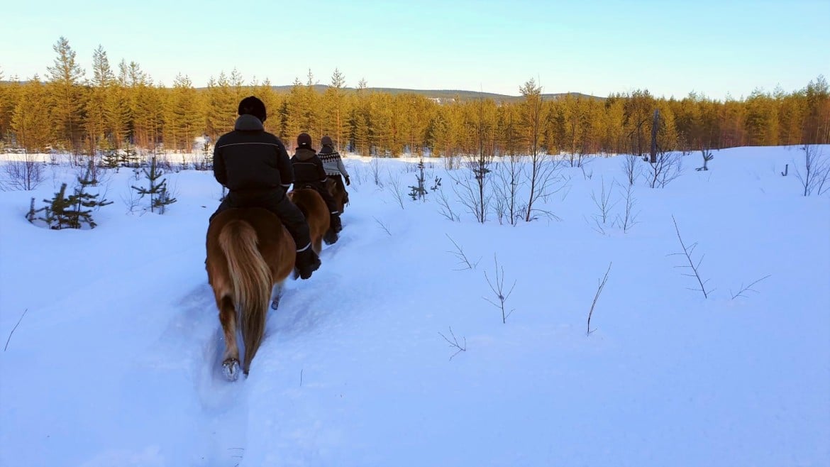 Paardrijden in Lapland met kinderen