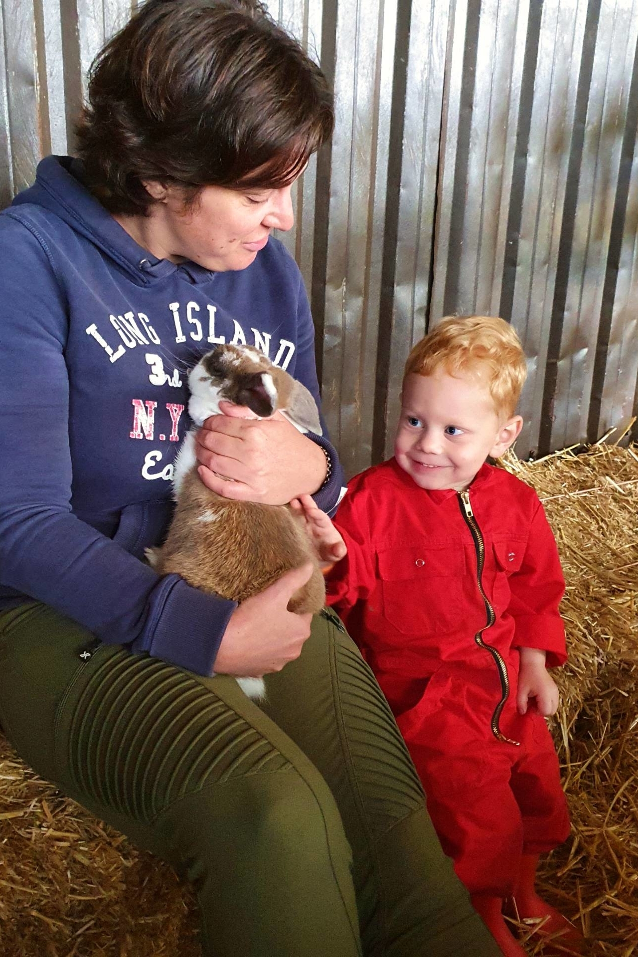 Leuke FarmCamps in Overijssel