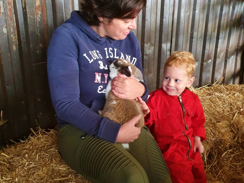 Leuke FarmCamps in Overijssel