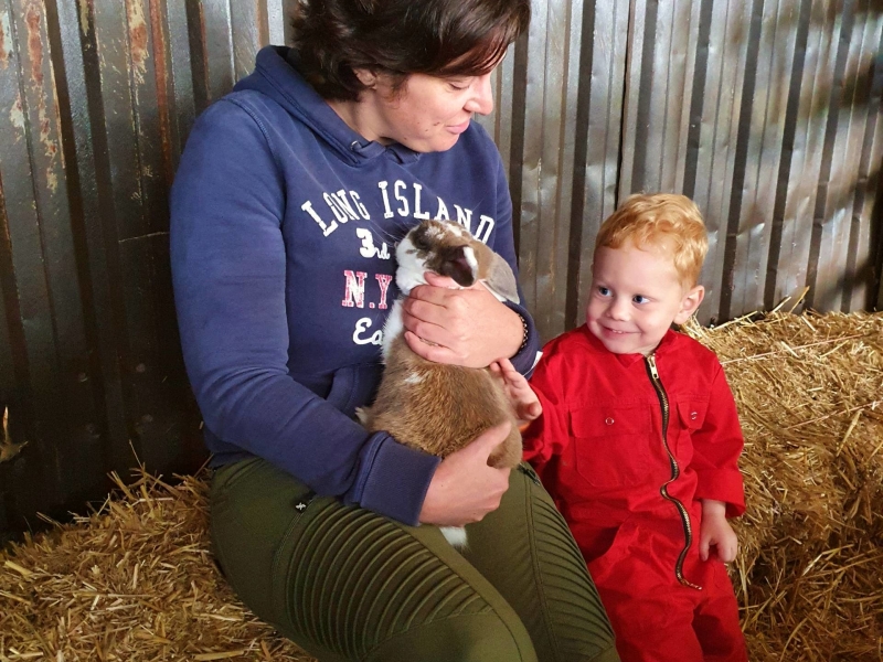 Leuke FarmCamps in Overijssel