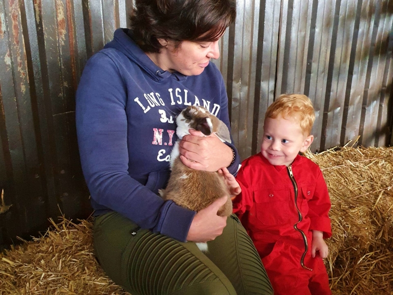 Leuke FarmCamps in Overijssel