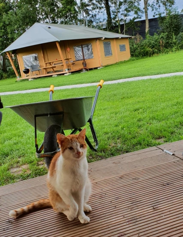 FarmCamps de Oostermaat Overijssel