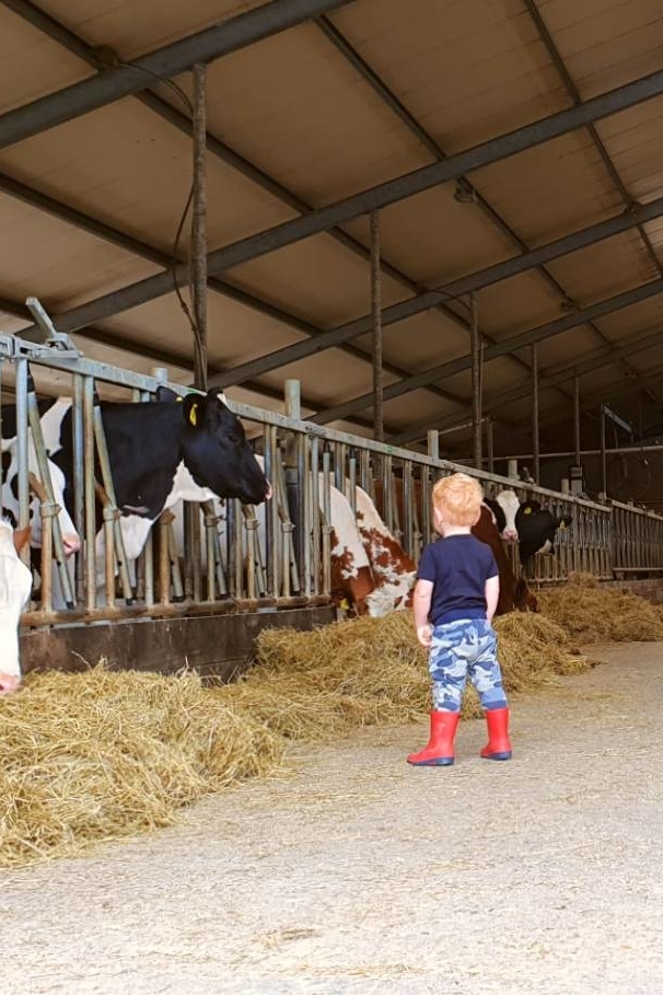 FarmCamps De Oostermaat Overijssel