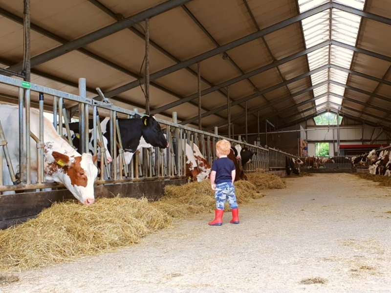 FarmCamps De Oostermaat Overijssel