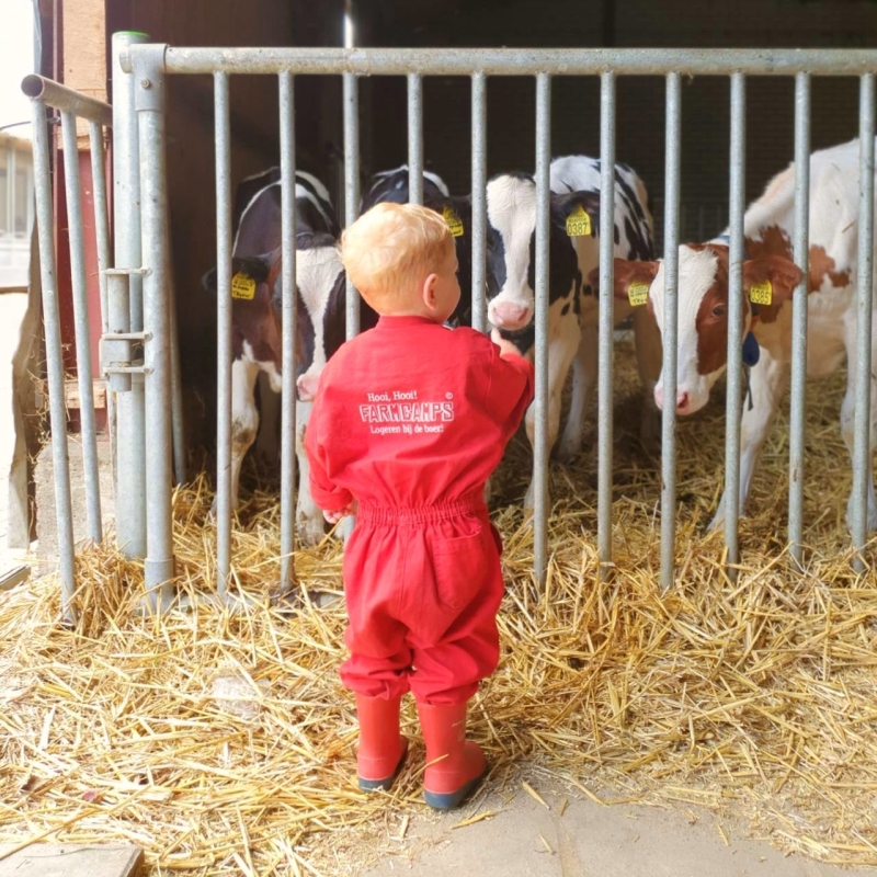 Wat is een leuke FarmCamps met een peuter