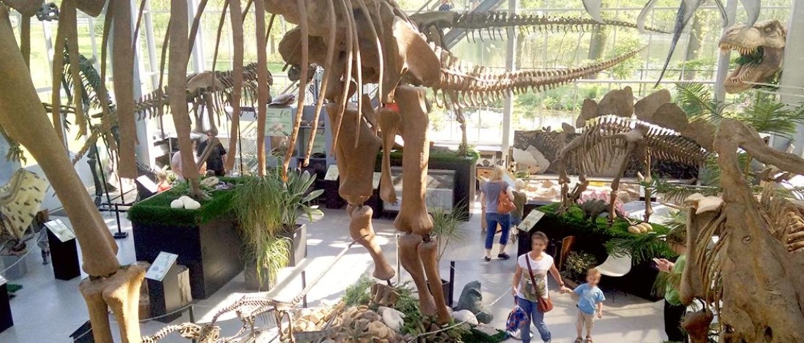 Museum in Brabant? Ontdek dinosaurussen van het Oermuseum