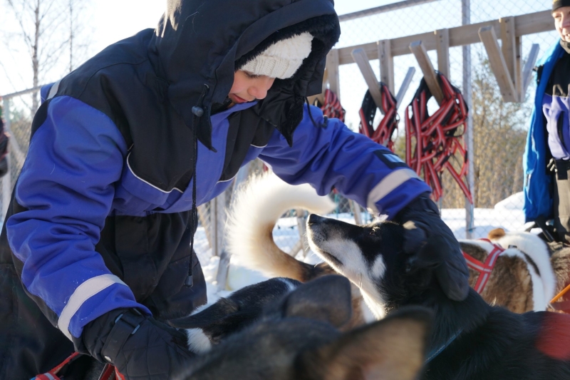 Huskytour in Lapland met tiener