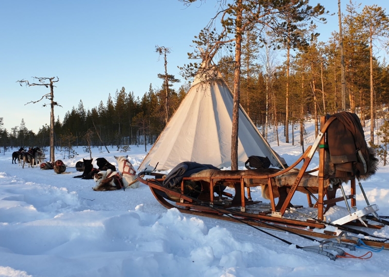 Huskytocht in Zweeds Lapland met kinderen