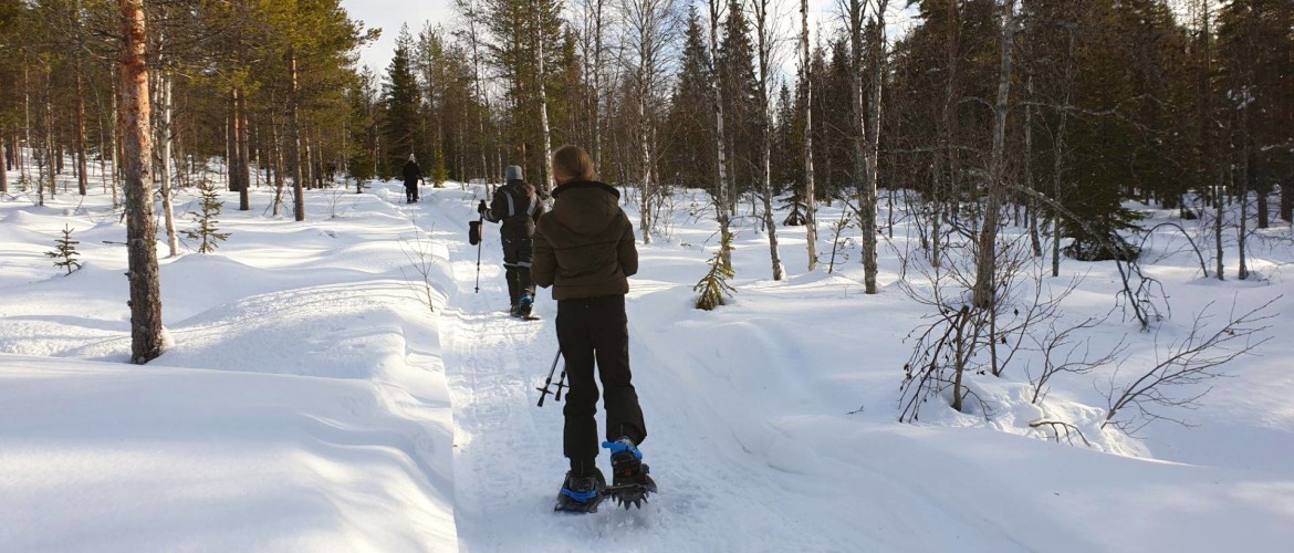 Sneeuwschoenwandelen in Zweeds Lapland