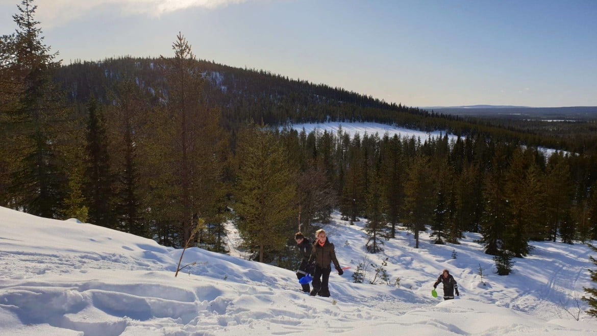 Sneeuwschoenwandelen in Zweeds Lapland