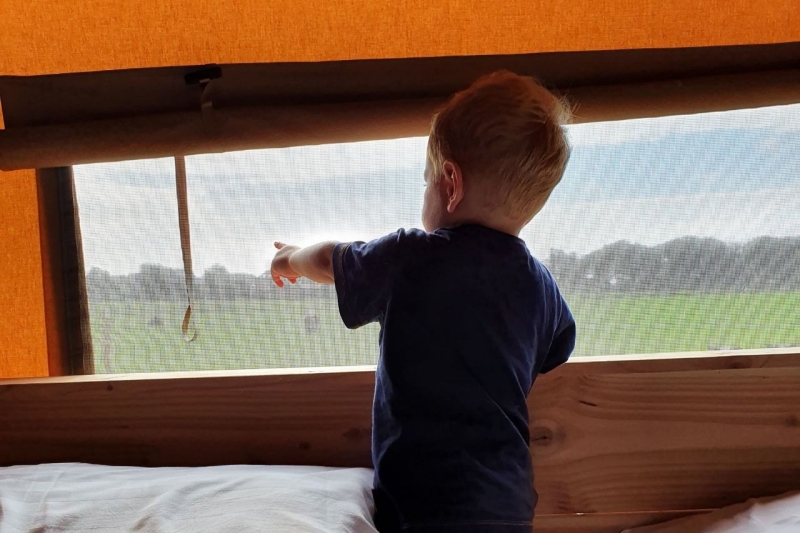 Farmcamps met een peuter