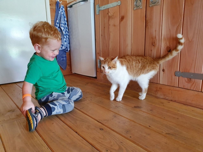 Farmcamps met een peuter