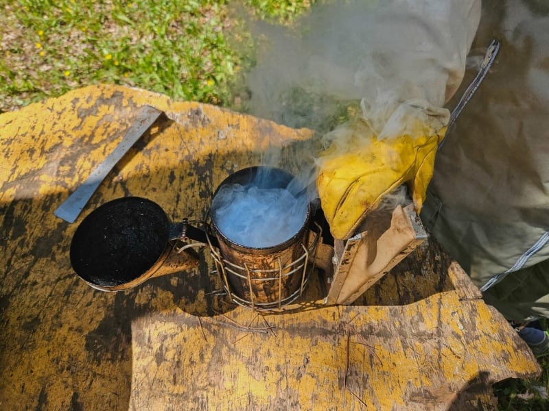 Activiteiten in de Ardèche