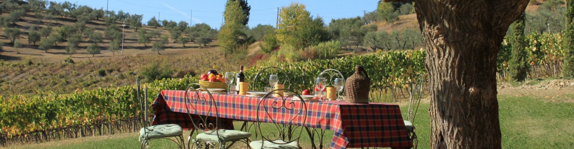 Agriturismo Toscane met kinderen Agriturismo Toscane met kinderen