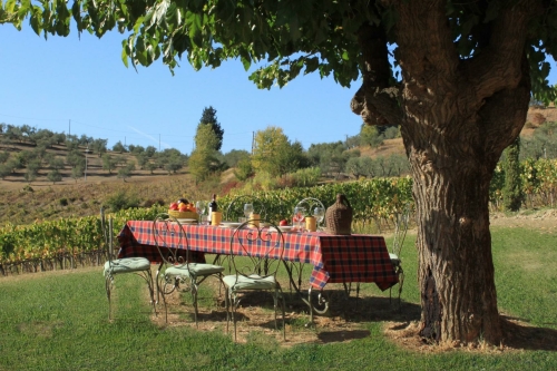 Agriturismo Toscane met kinderen