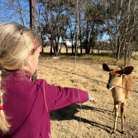 Airport Game Lodge Zuid-Afrika met kinderen