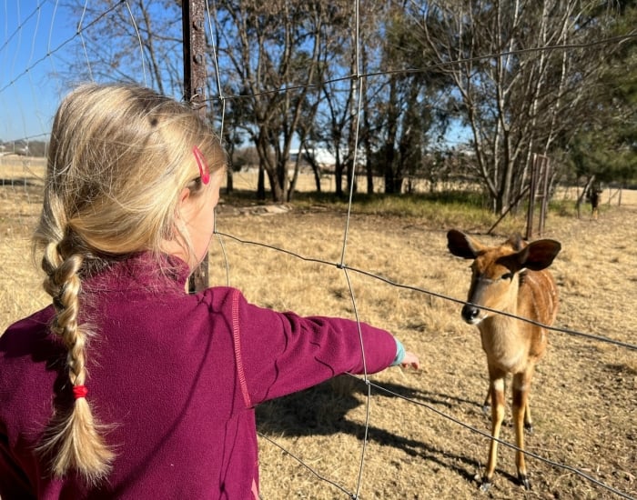 Airport Game Lodge Zuid-Afrika met kinderen