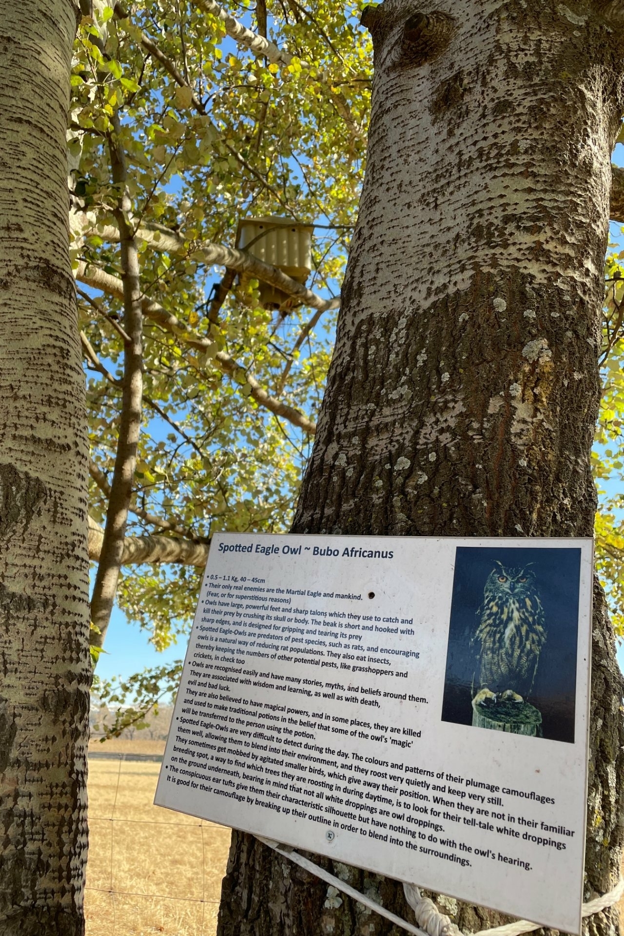 Airport Game Lodge Zuid-Afrika omgeving Airport Game Lodge Zuid-Afrika omgeving