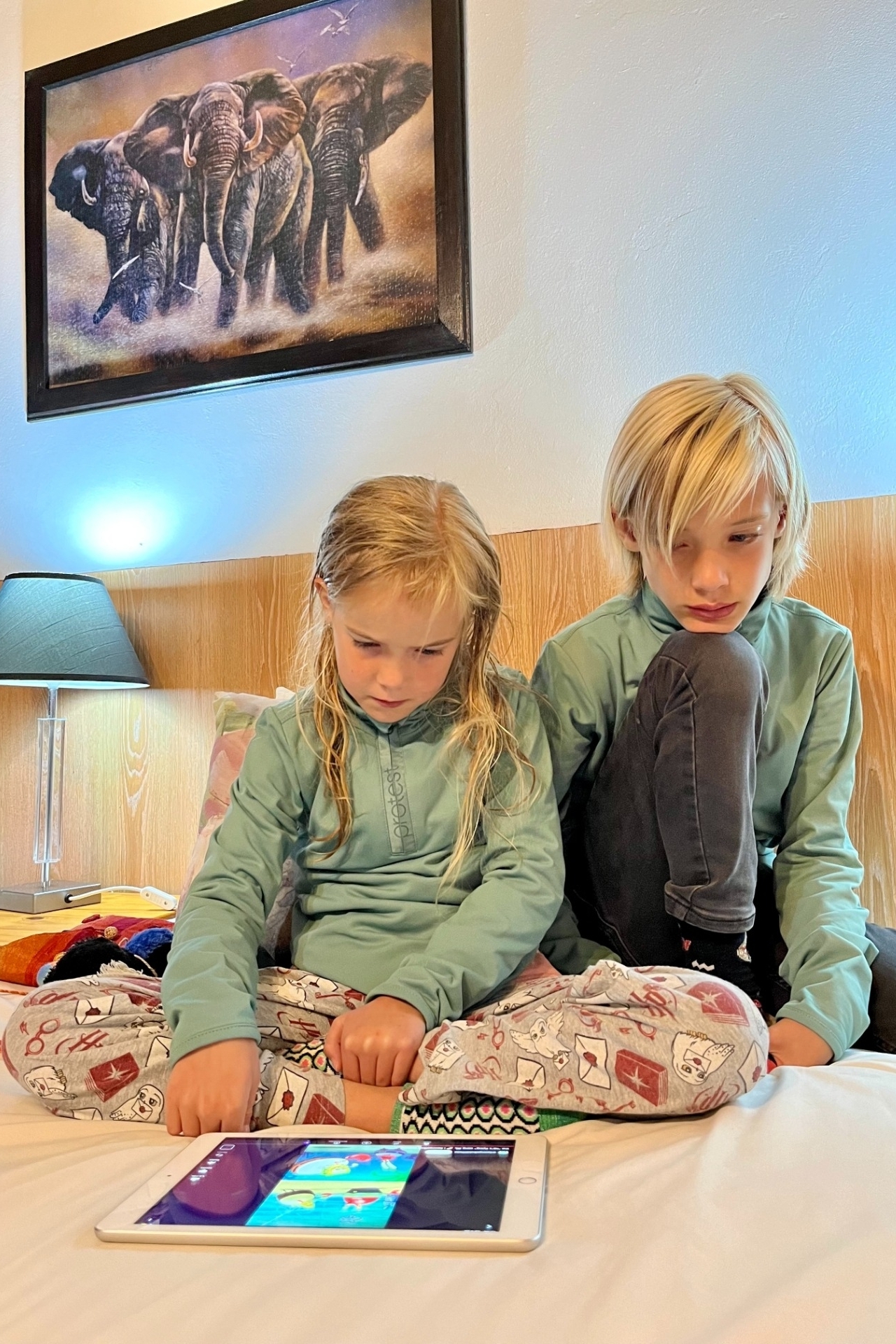 Airport Game Lodge Zuid-Afrika WIFI Airport Game Lodge Zuid-Afrika WIFI