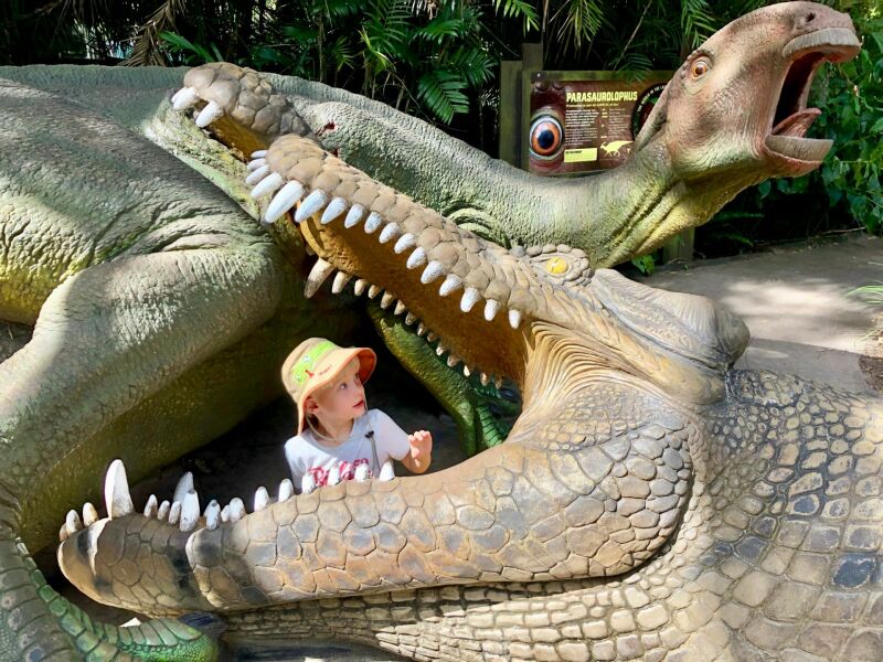 Australia Zoo met kinderen: krokodil in het Crocoseum tijdens de show