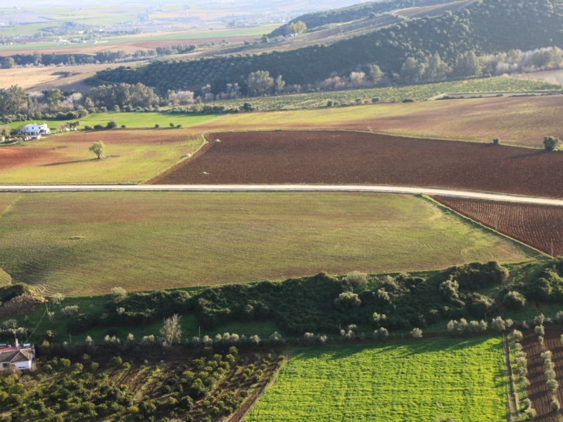 Auto huren met korting in Malaga Andalusië